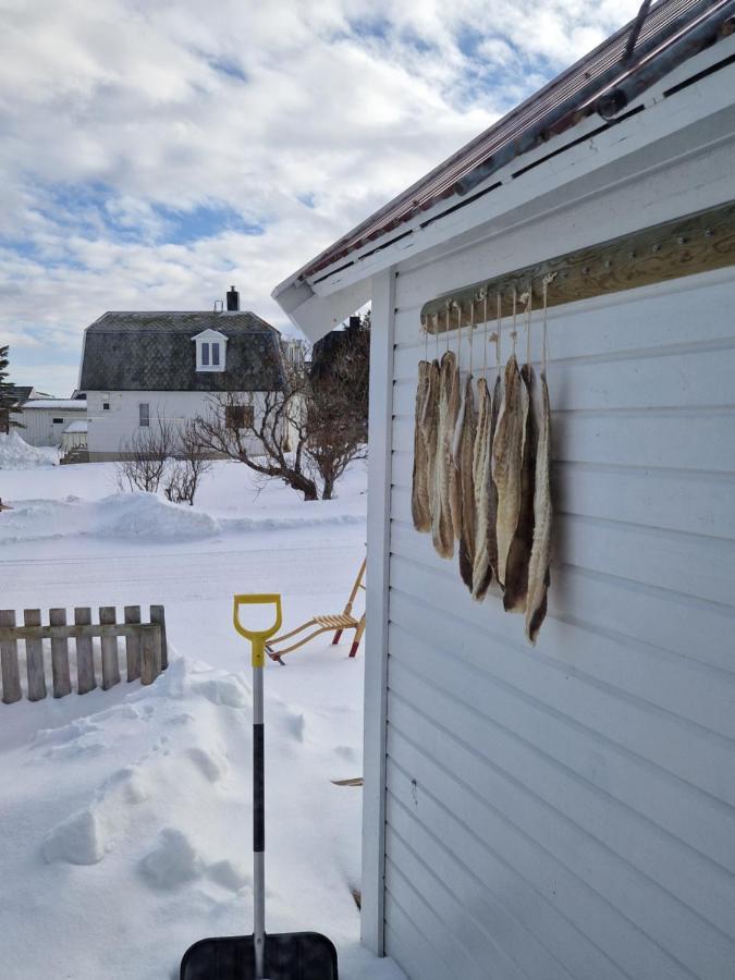 Roligheten Lodge In Andenes Exterior photo